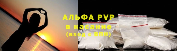 индика Абдулино