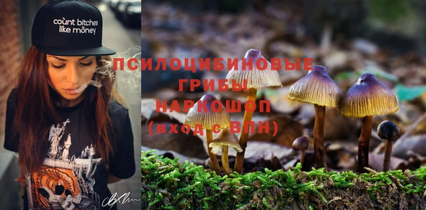 apvp Абинск